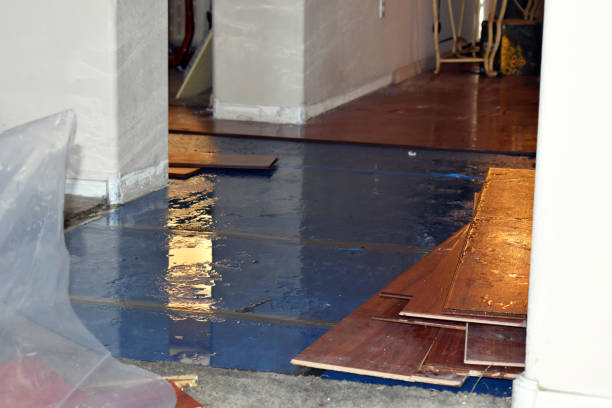 Professional Sewage Cleanup technician working in Baldwin, MI